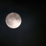 Wolf Moon - SF Bay Area