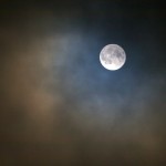 Wolf Moon in Clouds