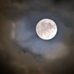 Wolf Moon - SF Bay Area