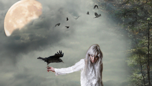 Halloween Raven 300