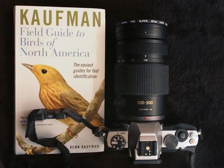 Olympus Micro Four Thirds for Wildlife Photography Wildlife Photography with Olympus