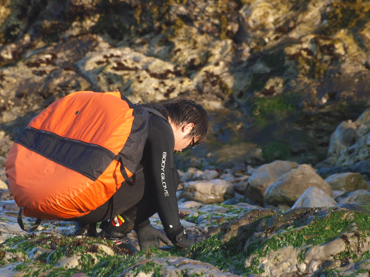 Abalone Diver on Mendocino Coast