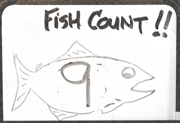 fishcount9-600