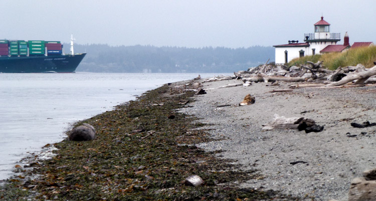 West Point Lighthouse and container ship at Discovery Park Seattle